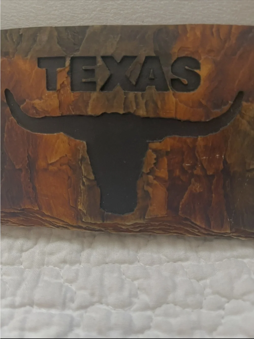 Texas Themed Rustic Brown Picture Frame with Longhorn Accent